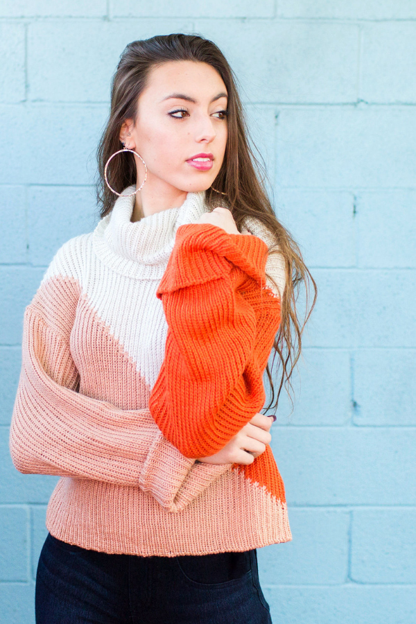Free people top colorblock turtleneck sweater